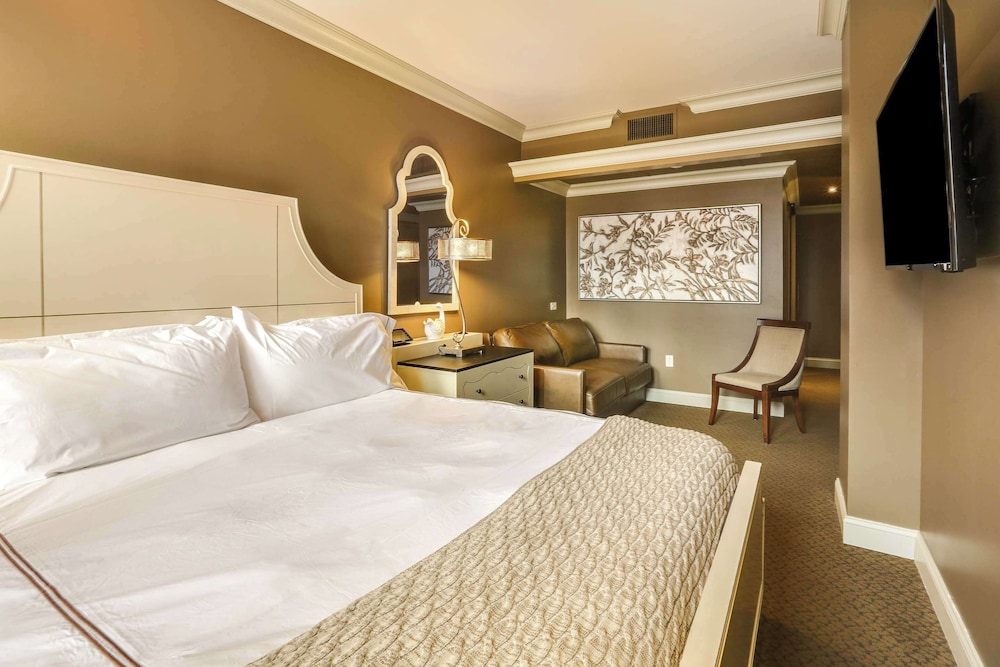 Room, King Bed