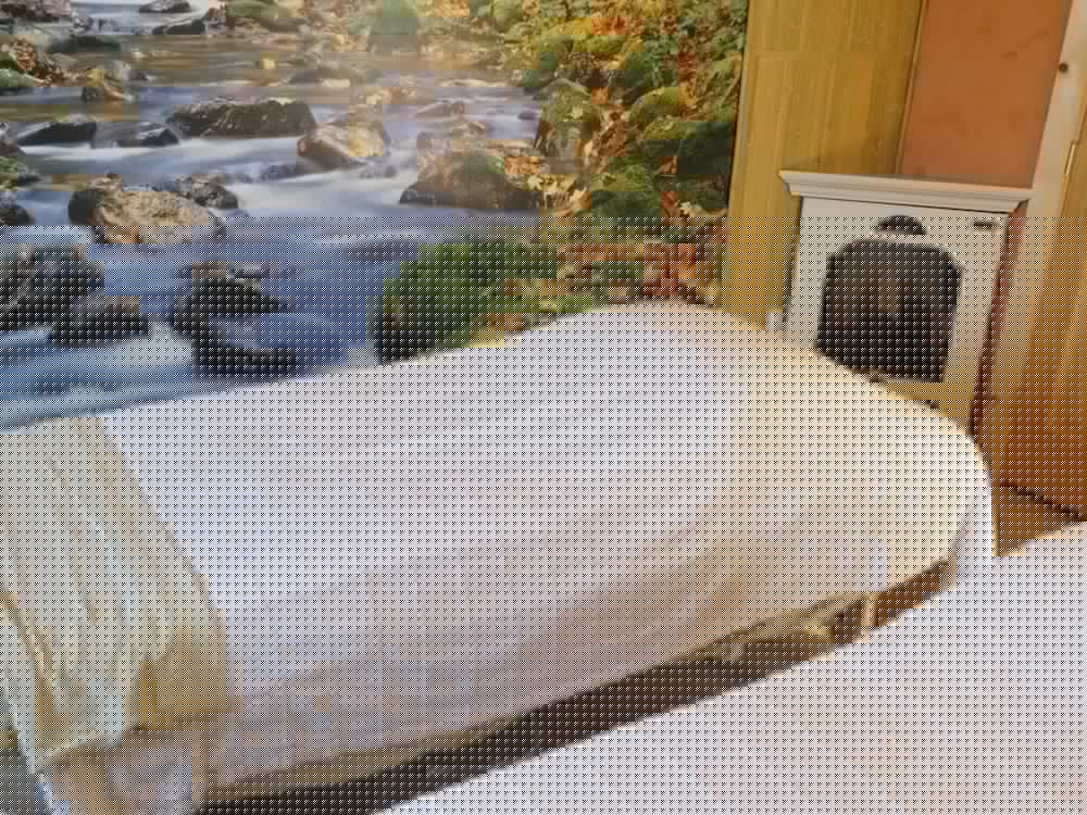Coast Inn and Spa Fort Bragg 36/65