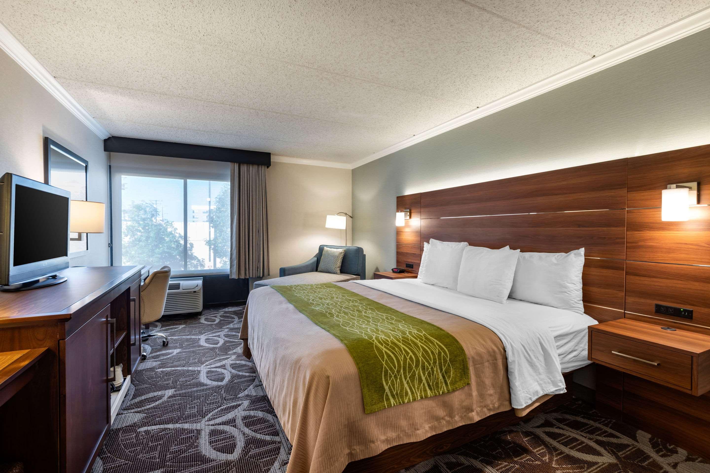 ROOM, KING BED