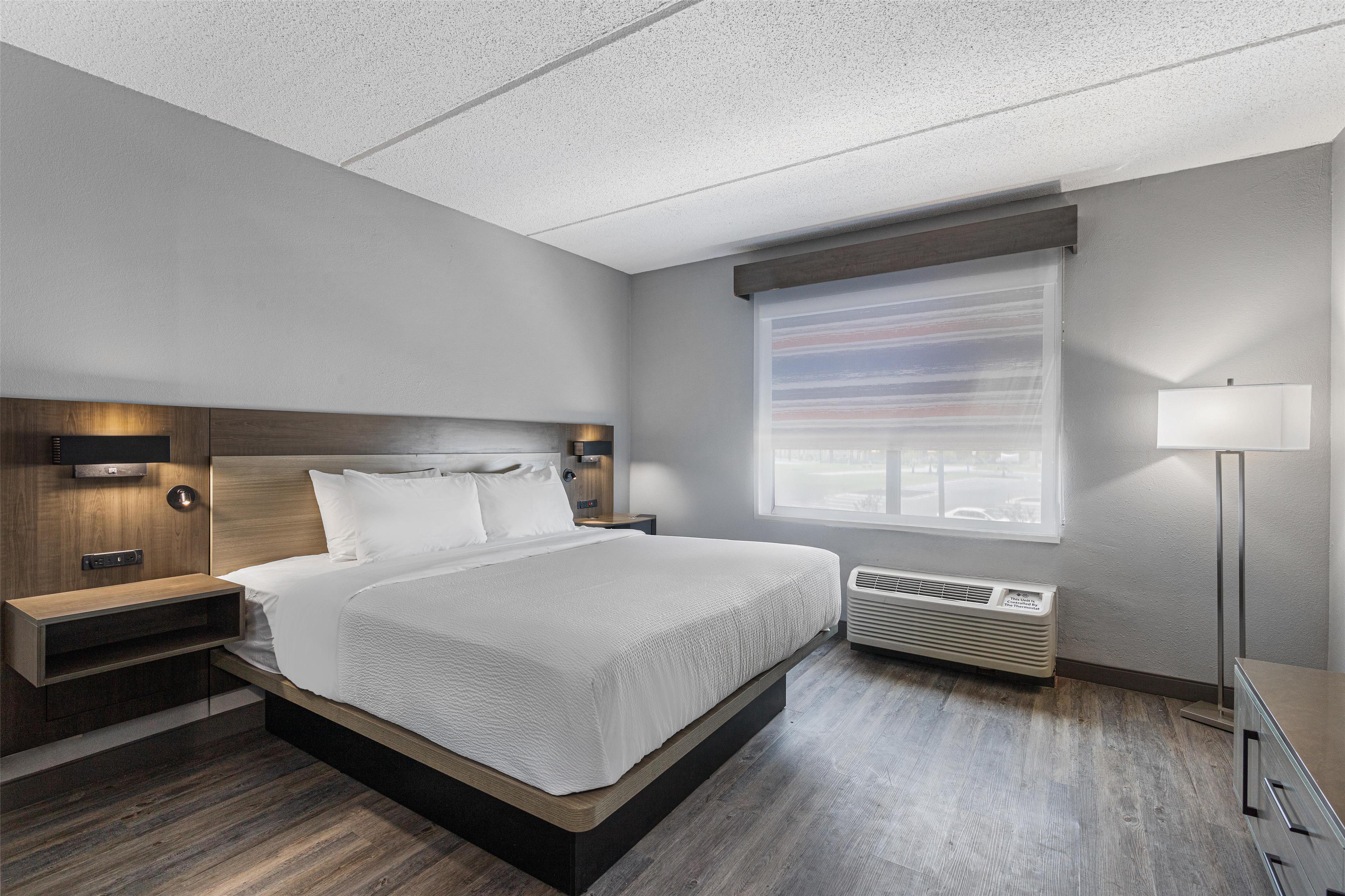 Suite, King Bed