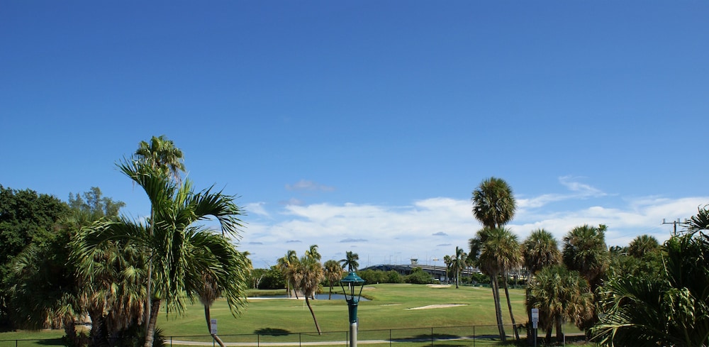 Sabal Palm House 16/41