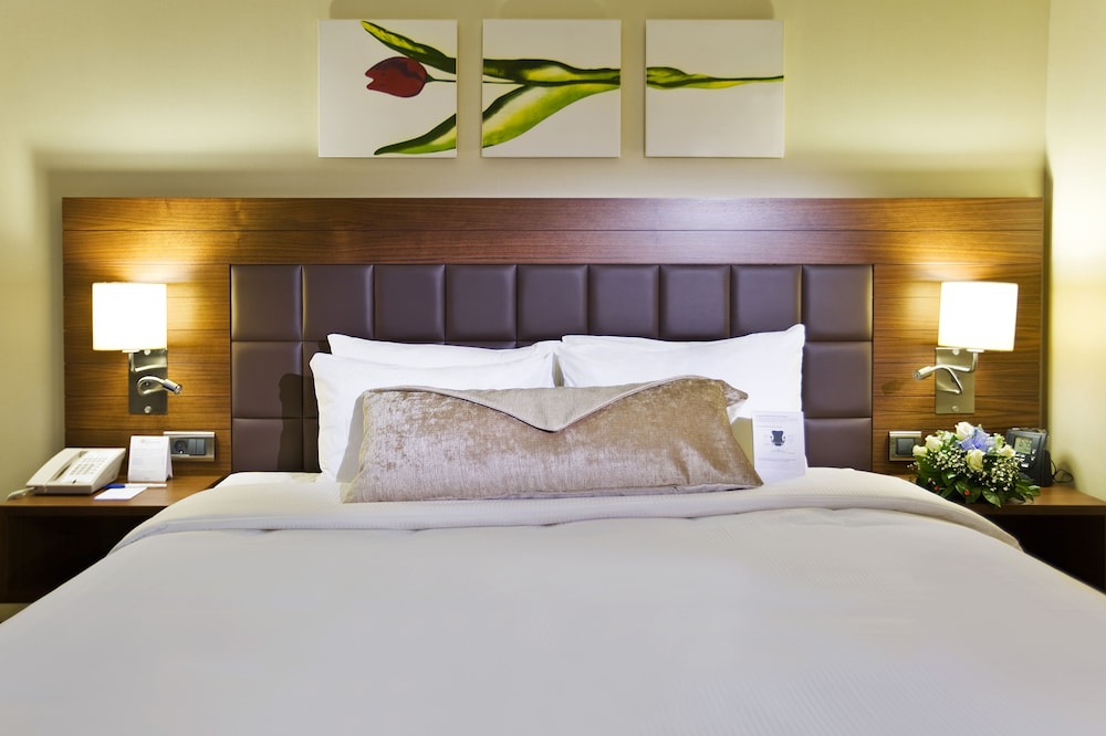 HILTON GARDEN INN KUTAHYA 16/52