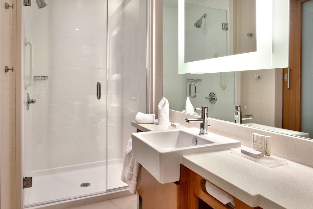 Springhill Suites Houston I-45 North 12/38