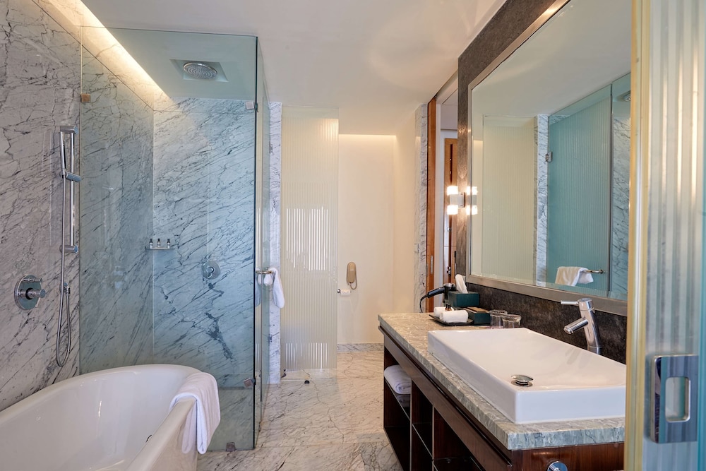Hyatt Regency Pune Hotel and Residences 79/79