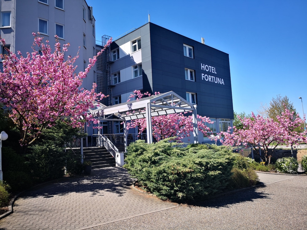 Hotel Fortuna 39/50