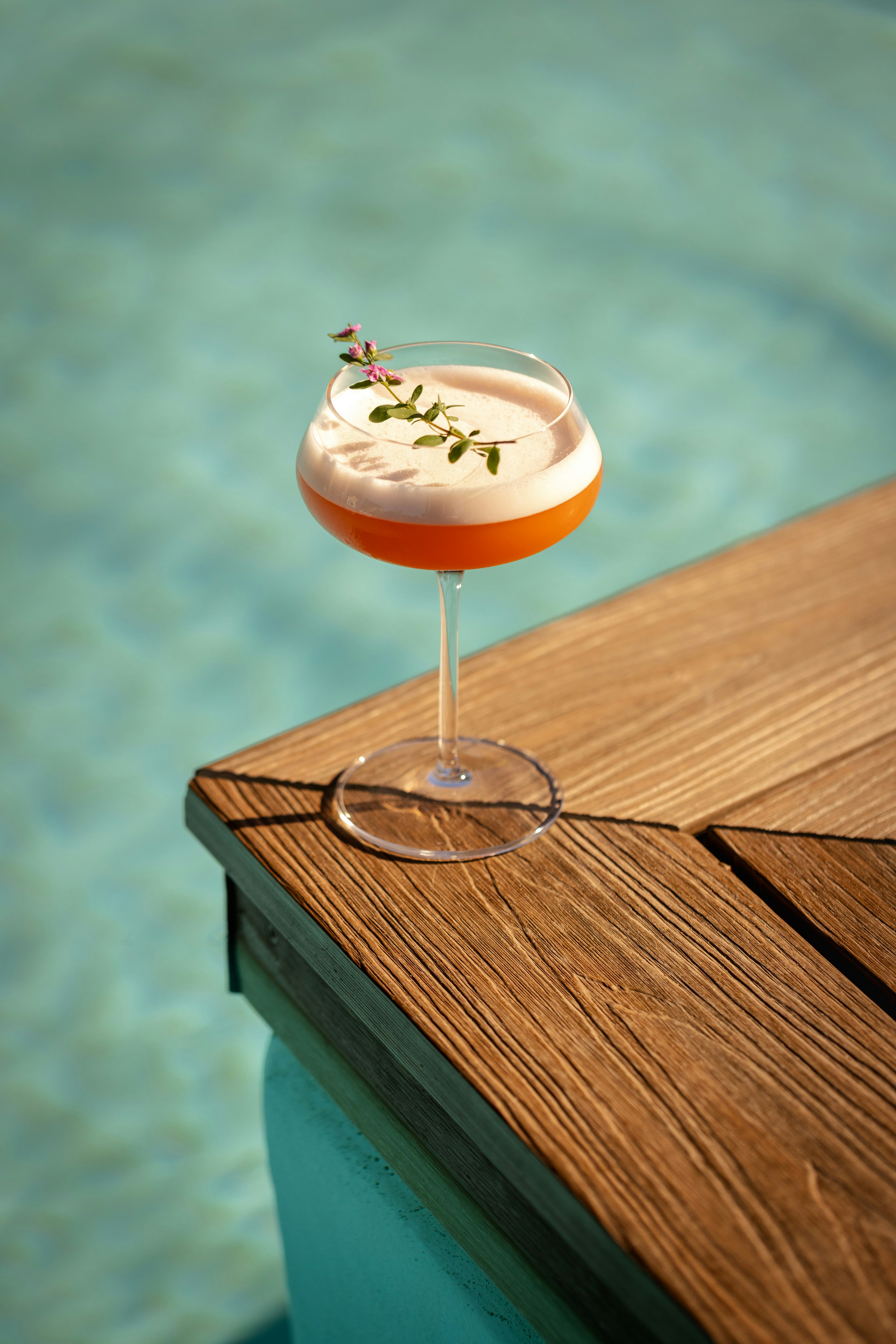 Hermitage Hotel And Resort 37/79