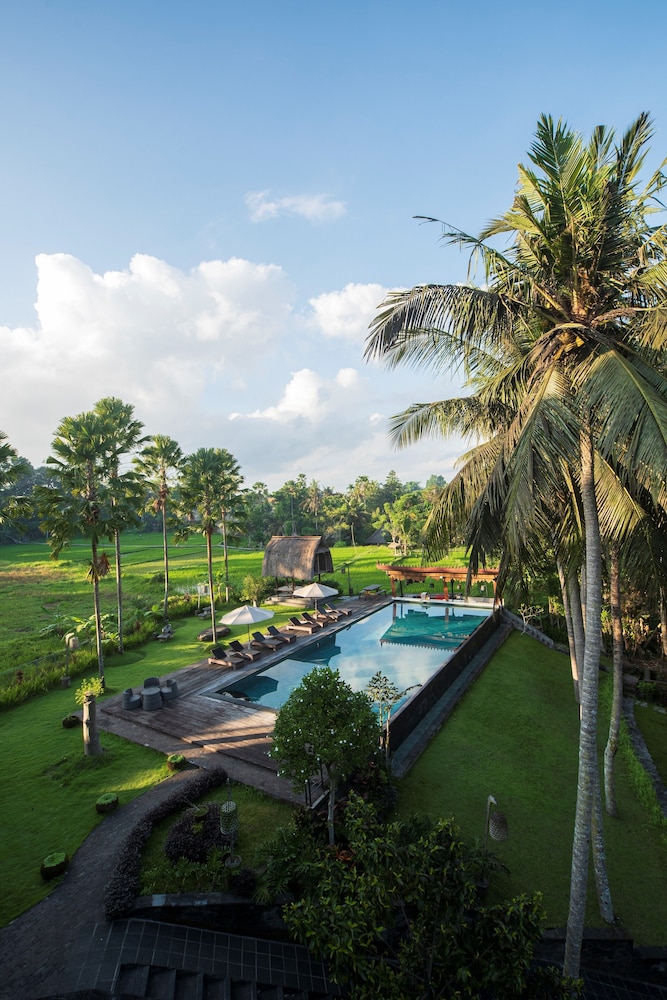 The Artini Resort 43/50