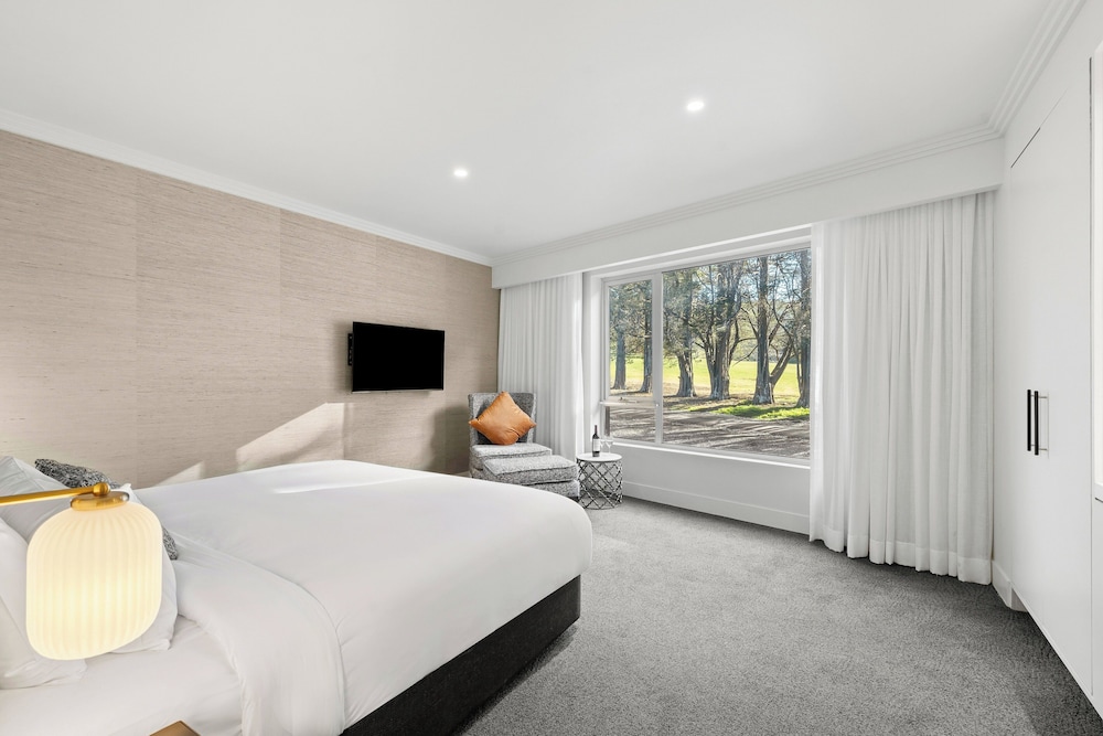 Ambassador, Suite, King Bed