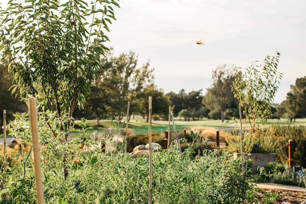 Temecula Creek Inn 1/30