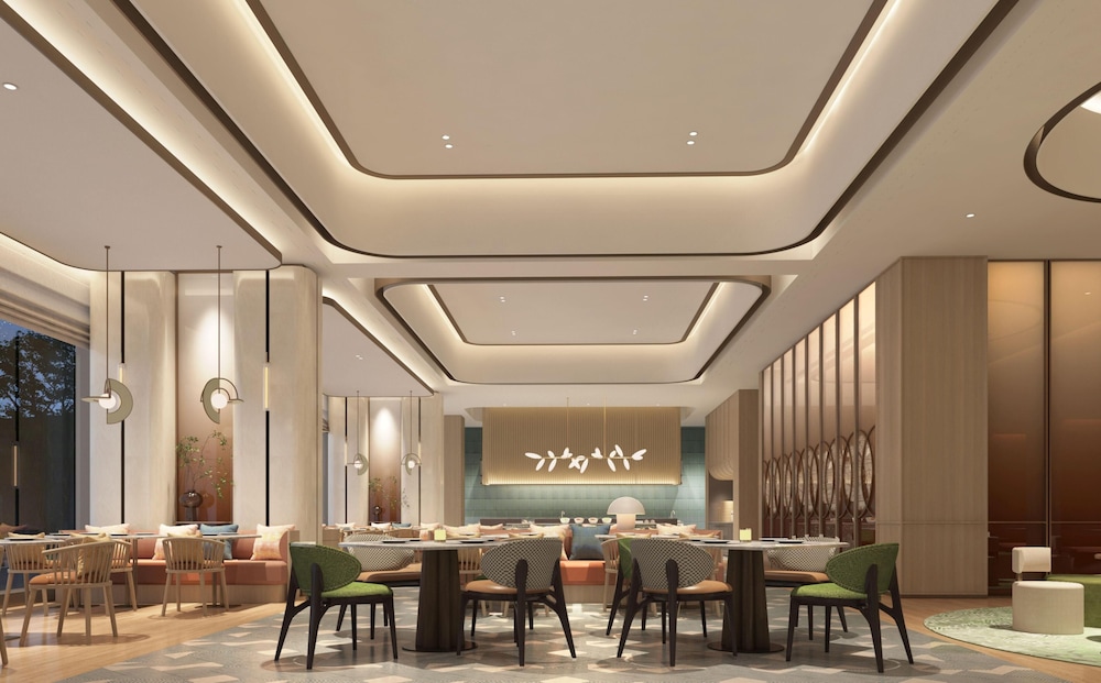 Hilton Garden Inn Chengdu Shuangliu International Airport 31/50