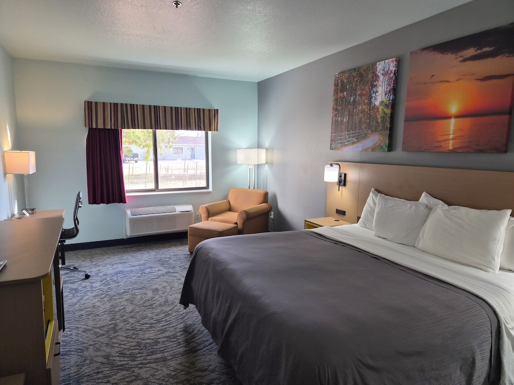 Suite, King Bed