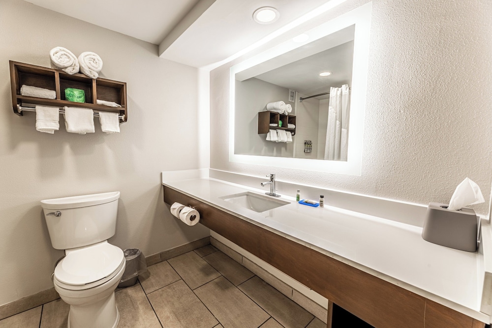 غرفة قياسية بسرير كينج بمنطقة جلوس، Holiday Inn Express Indianapolis South 10/10