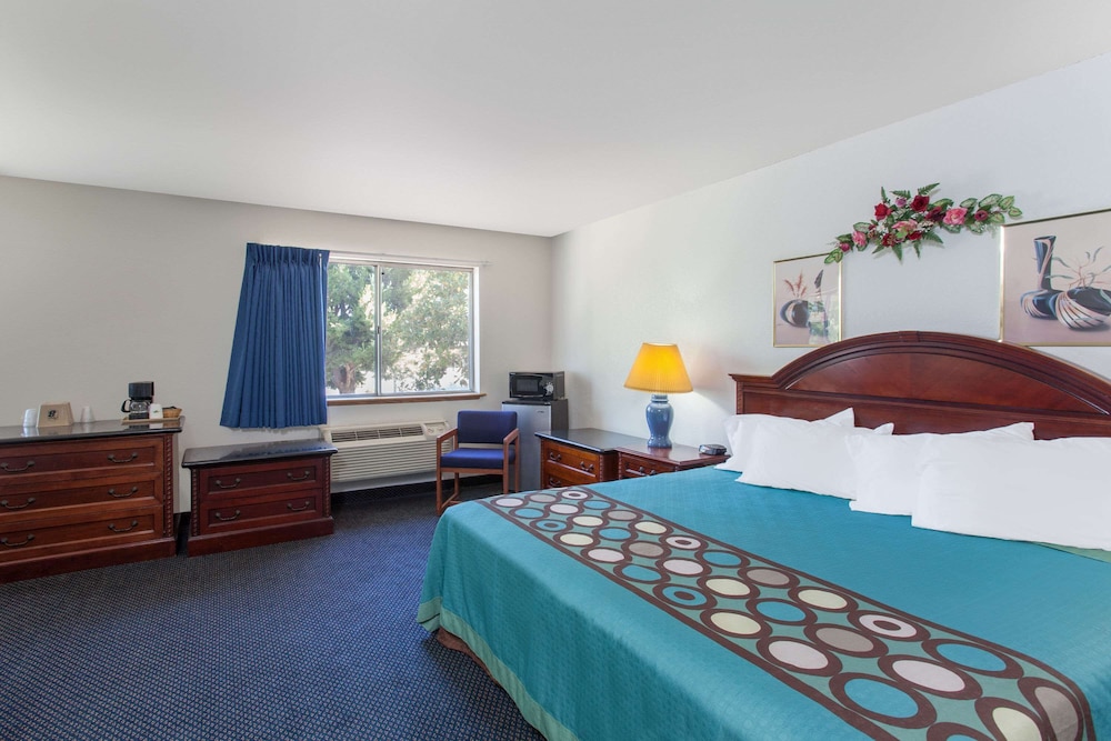 Studio, Suite, King Bed