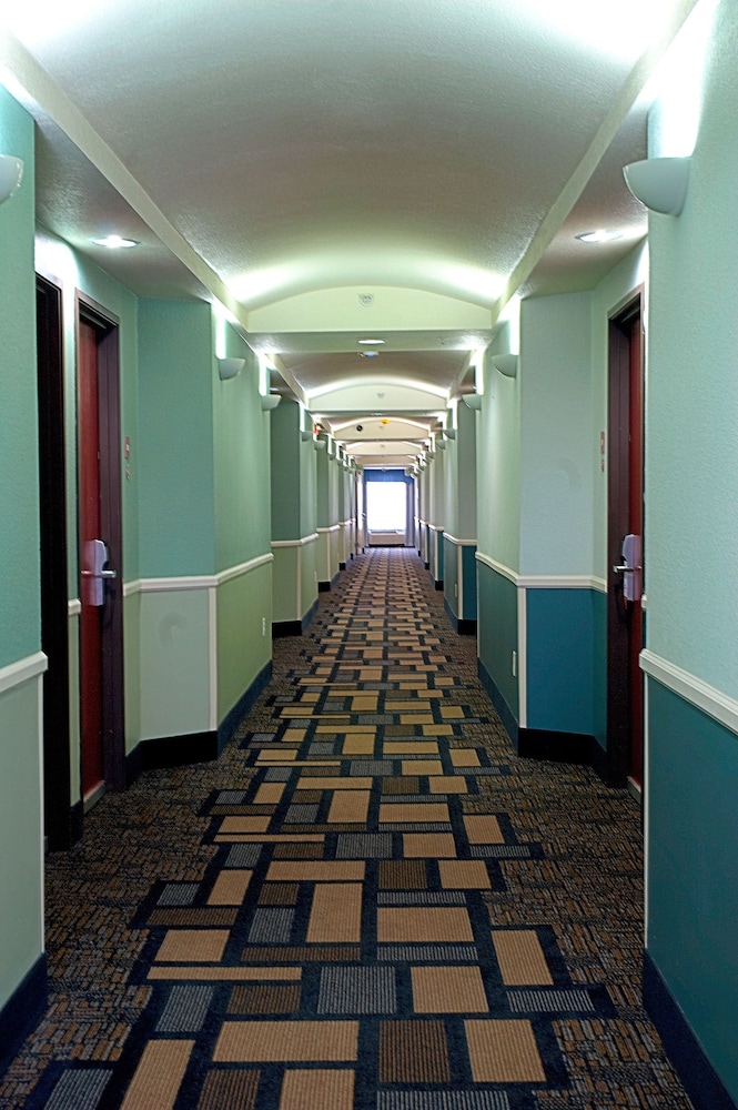 Super 8 by Wyndham Irving/DFW Apt/North 5/25