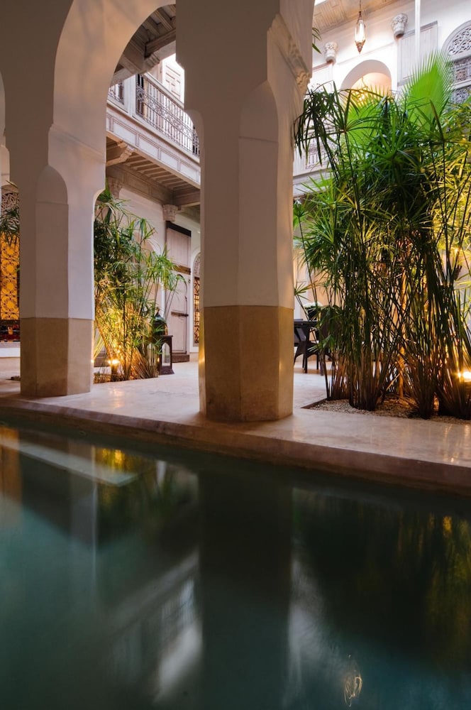 RIAD TZARRA 43/49