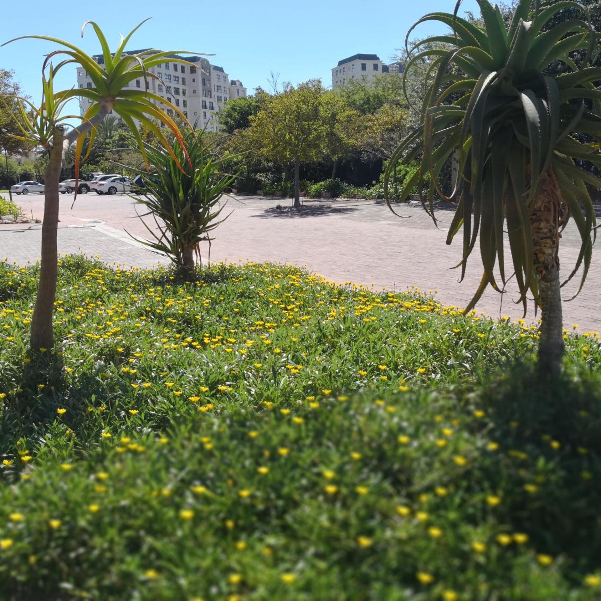 Majorca Self-Catering Apartments 30/50