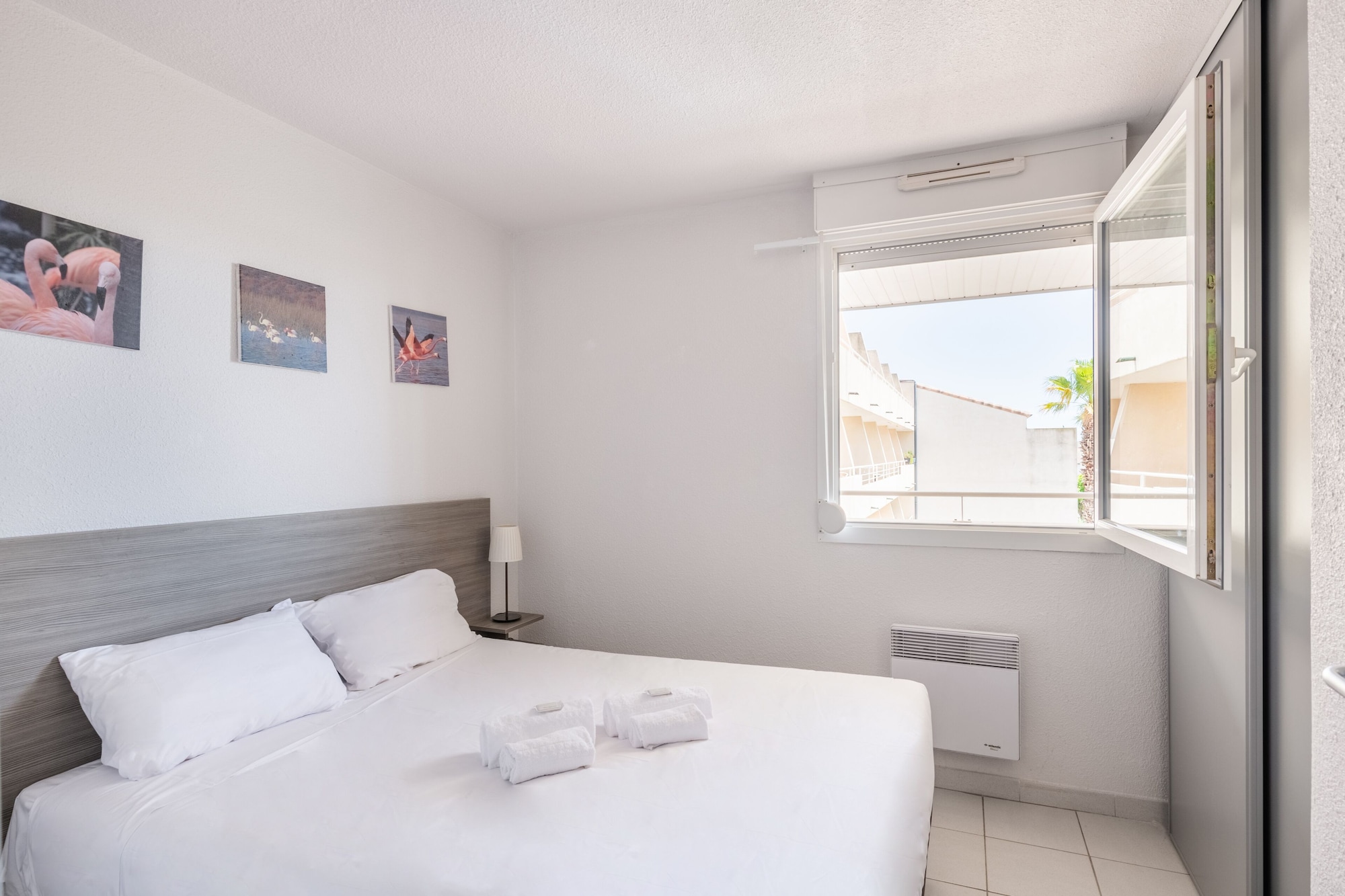1 Bedroom, Apartment, Bunk Bed, Sofa