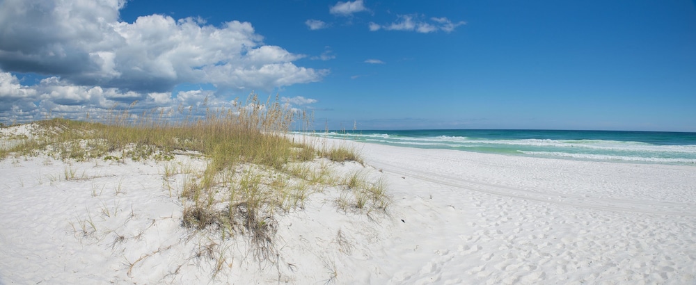 Fairfield Inn & Suites Pensacola Pine Forest 写真2