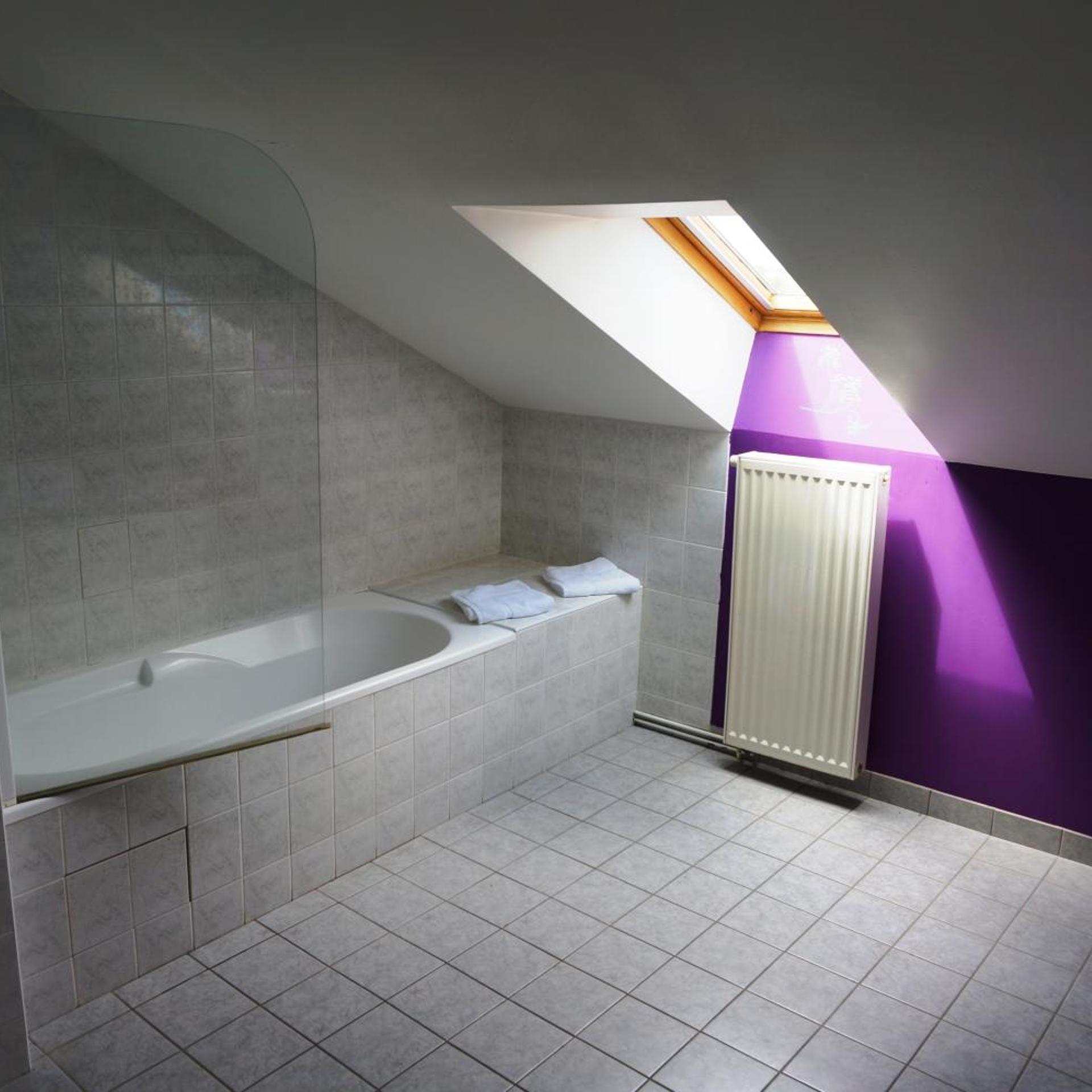HOTEL LES PORTES D'APCHER 13/37