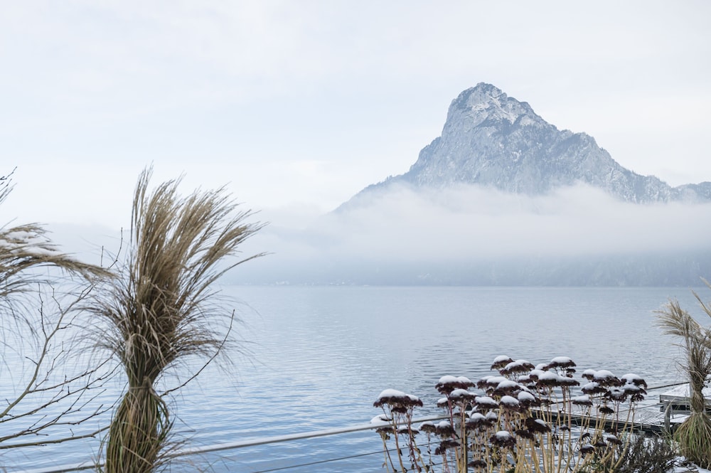 DAS TRAUNSEE 43/48