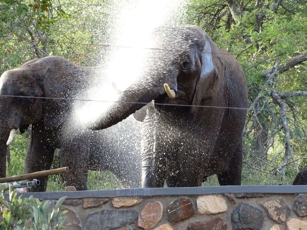Emhosheni River Lodge 20/47