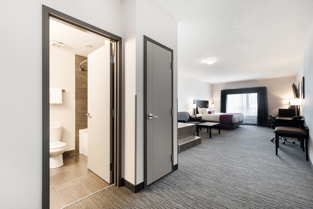 Park Inn By Radisson Edmonton Airport 21/60