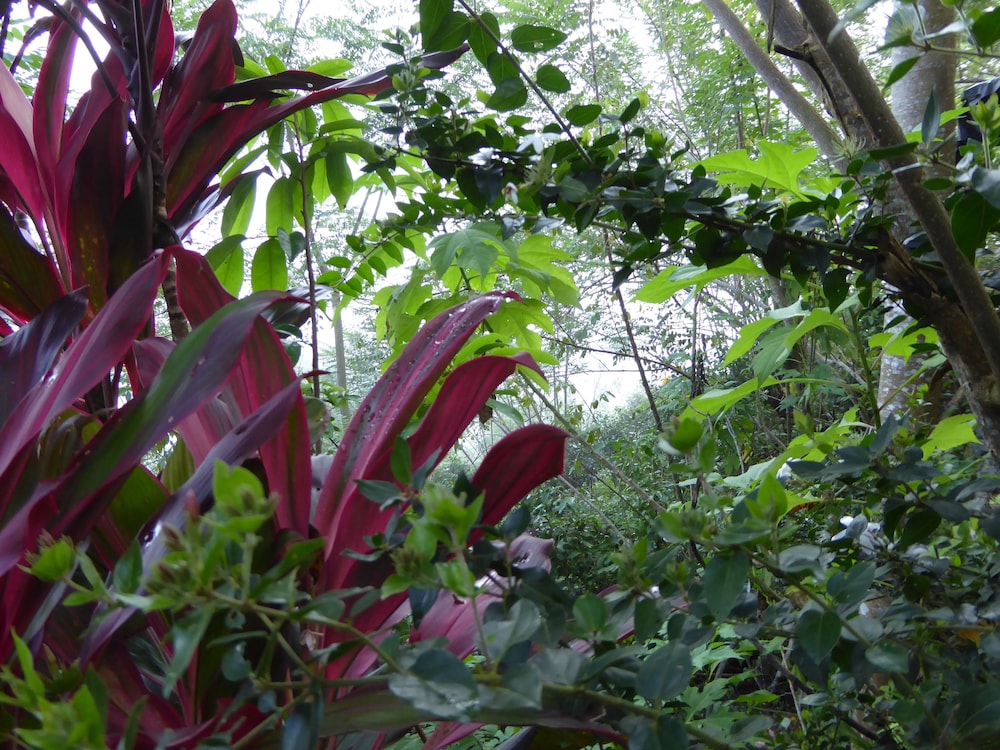 Kurulu Estate 41/50