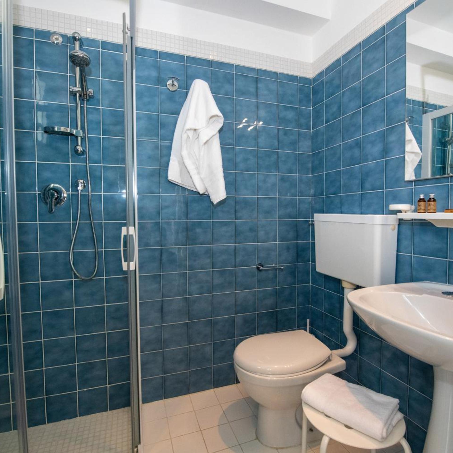 غرفة سوبيريور بسرير مزدوج، Hotel Delle Mimose 9/9