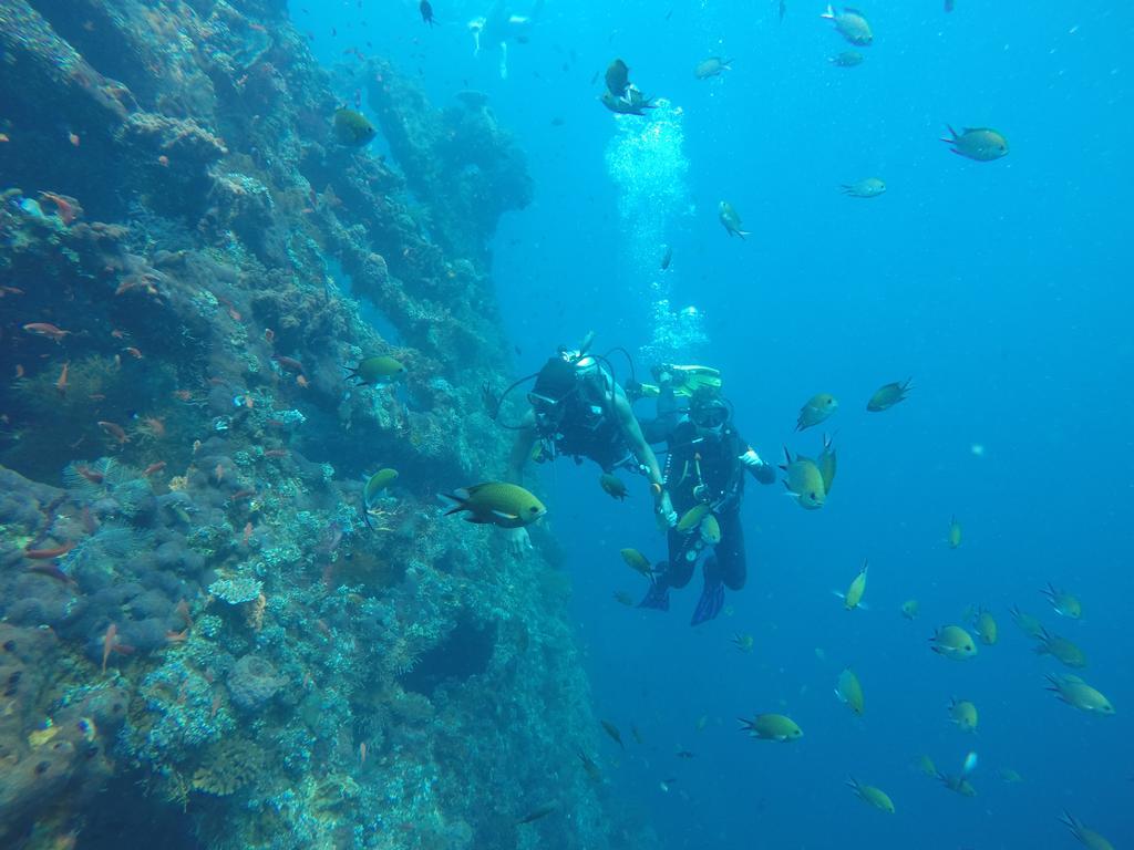 Ocean View Tulamben Dive And Resort 13/22
