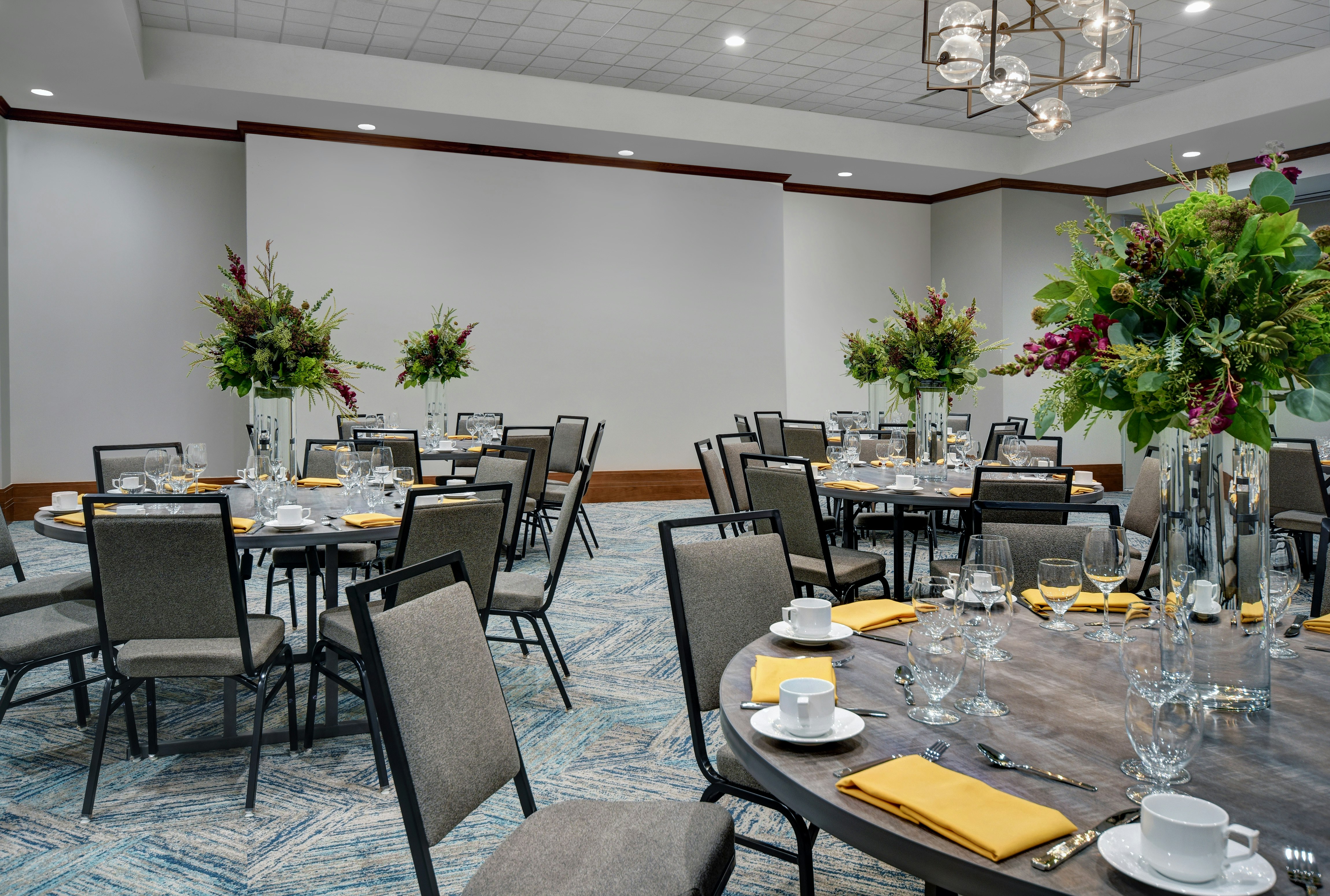 Hilton Garden Inn Houston Medical Center 40/57