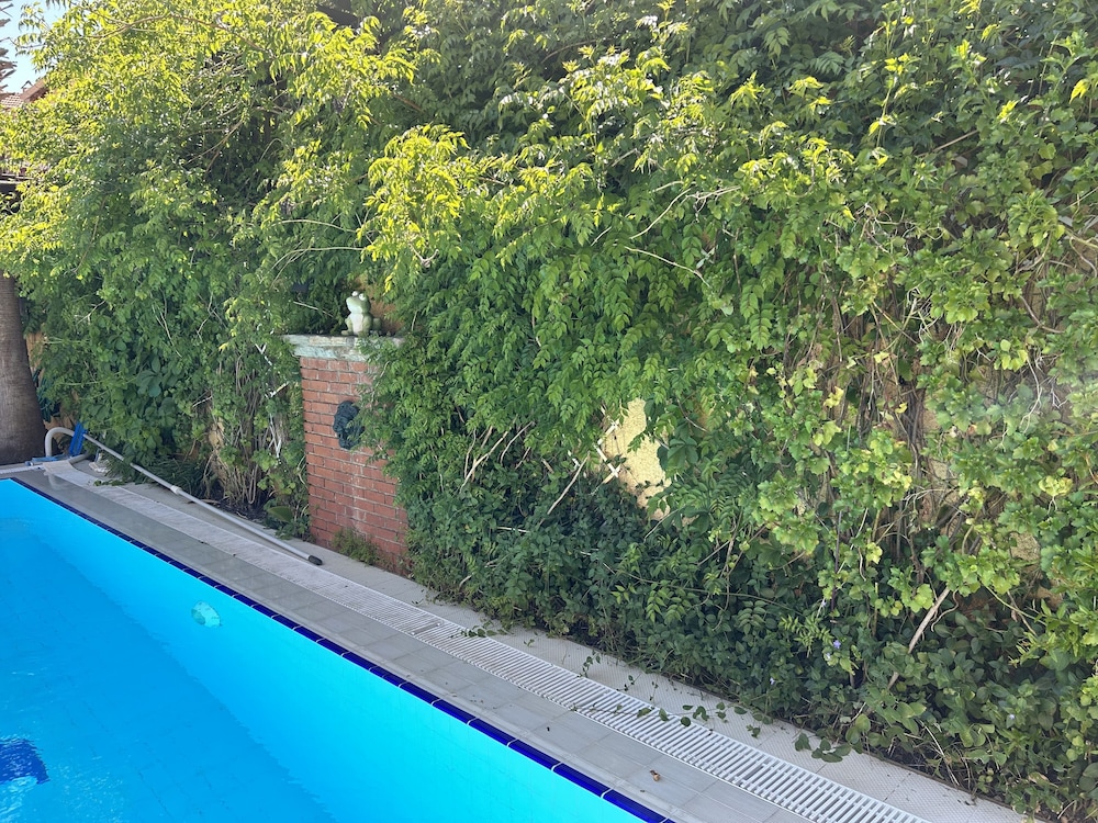 Villa Danlin Hotel 29/44