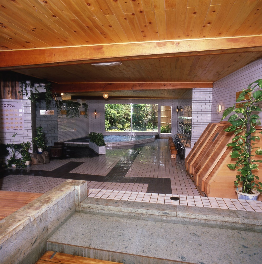 Kurhaus Ishibashi Ryokan 8/57