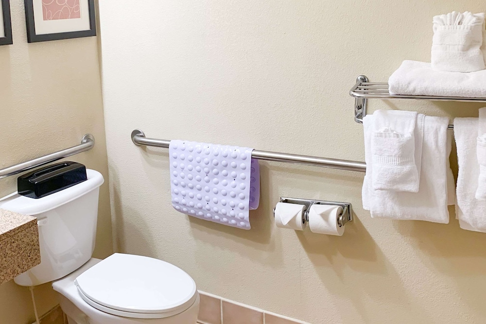 Comfort Suites Morrow- Atlanta South 12/39