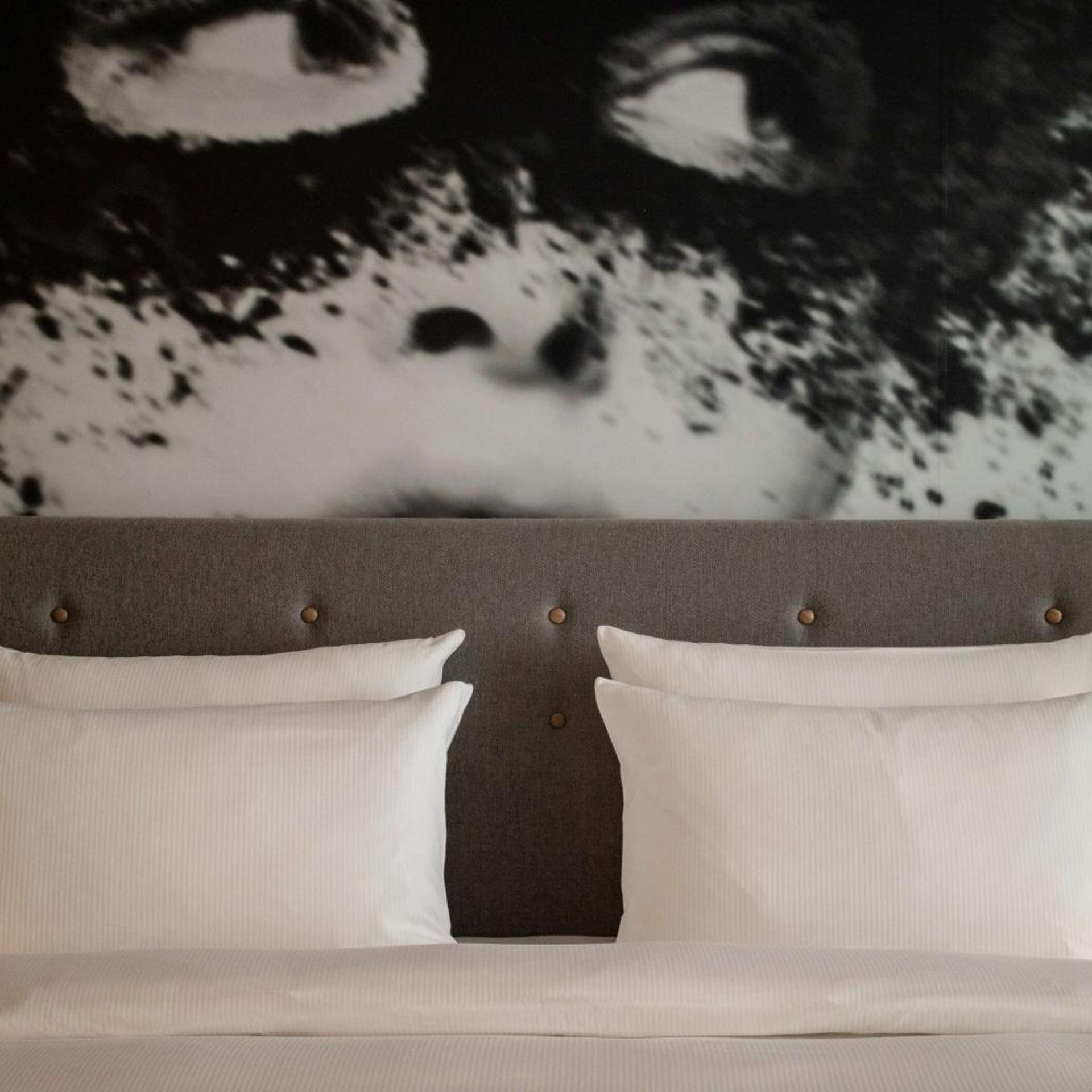 Junior Suite, Garden View, Radisson Blu Hotel Cologne 10/10