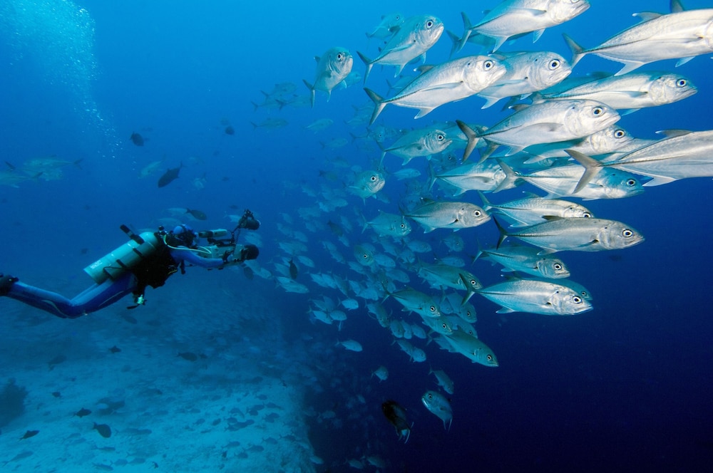 Jean-Michel Cousteau Fiji Islands Resort 44/50