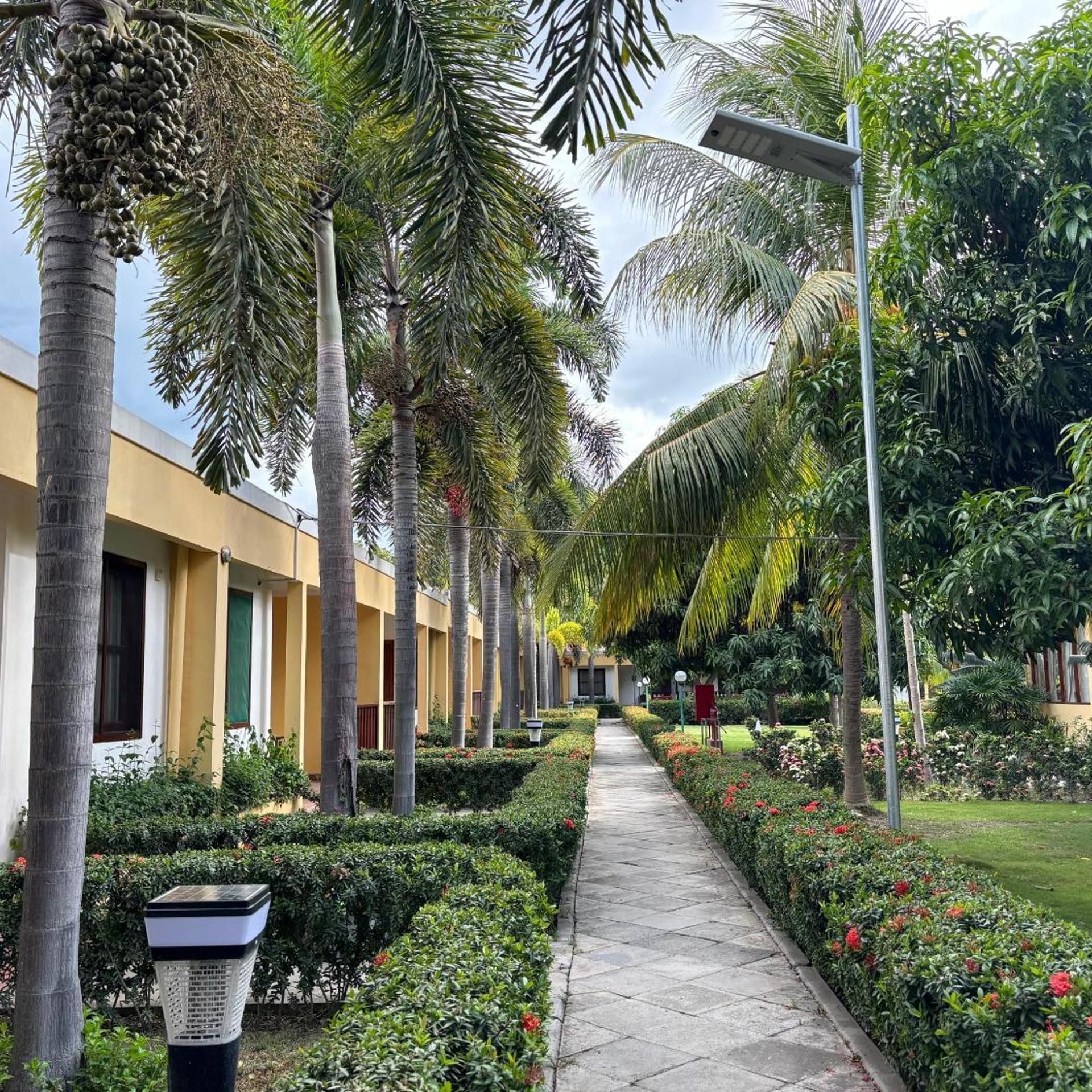 Palm Malinamoc Hotel 36/49