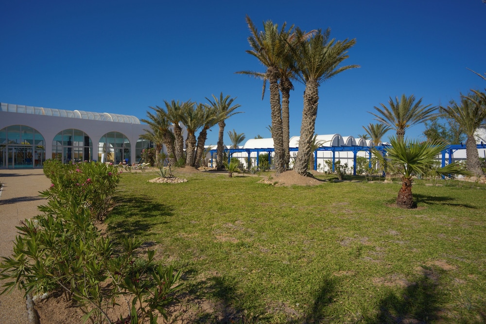 Monarque Dar Jerba Zahra 53/58