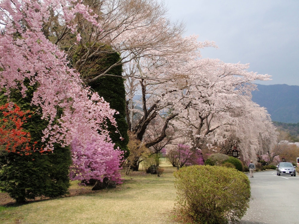 河口湖ペンション ウッドストック 写真4