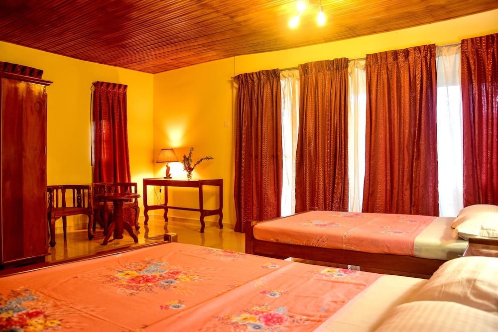 Rainforest Lodge 10/50