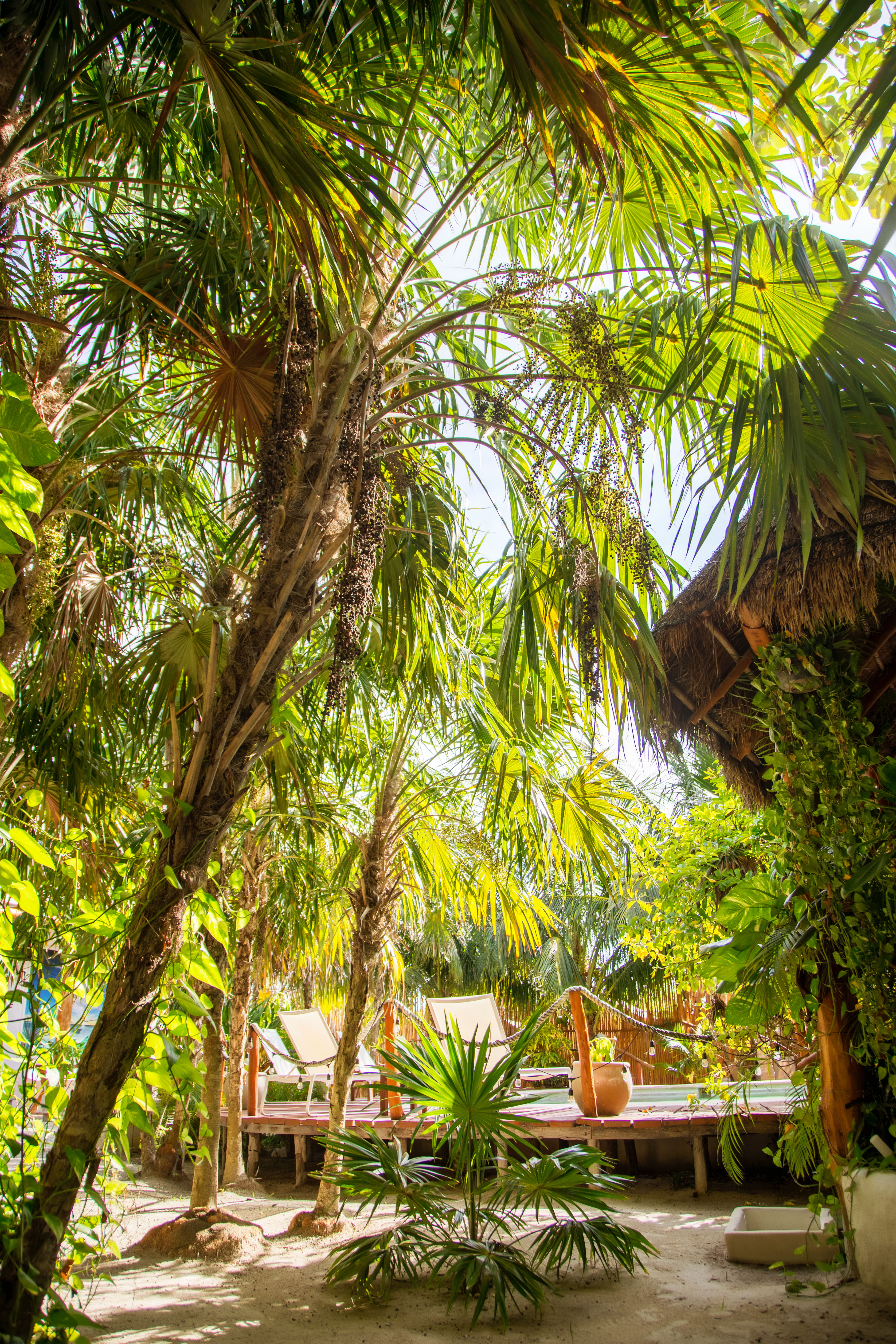 Holbox Deluxe Wellness Apartments 36/50