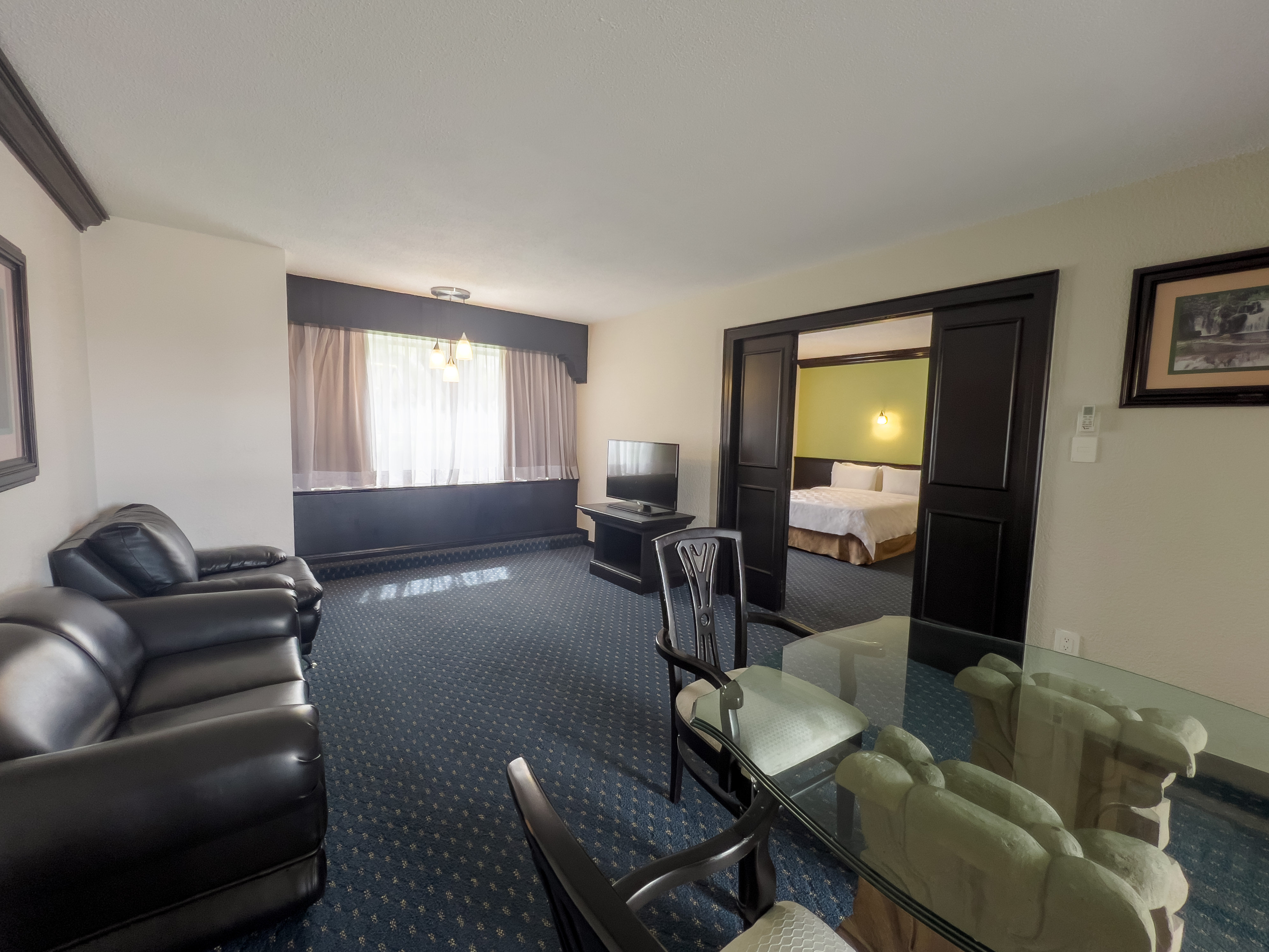 Holiday Inn San Luis Potosi-Quijote 28/50