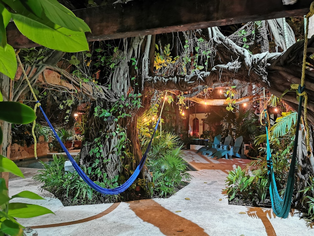 Eco Hotel El Rey del Caribe 39/50