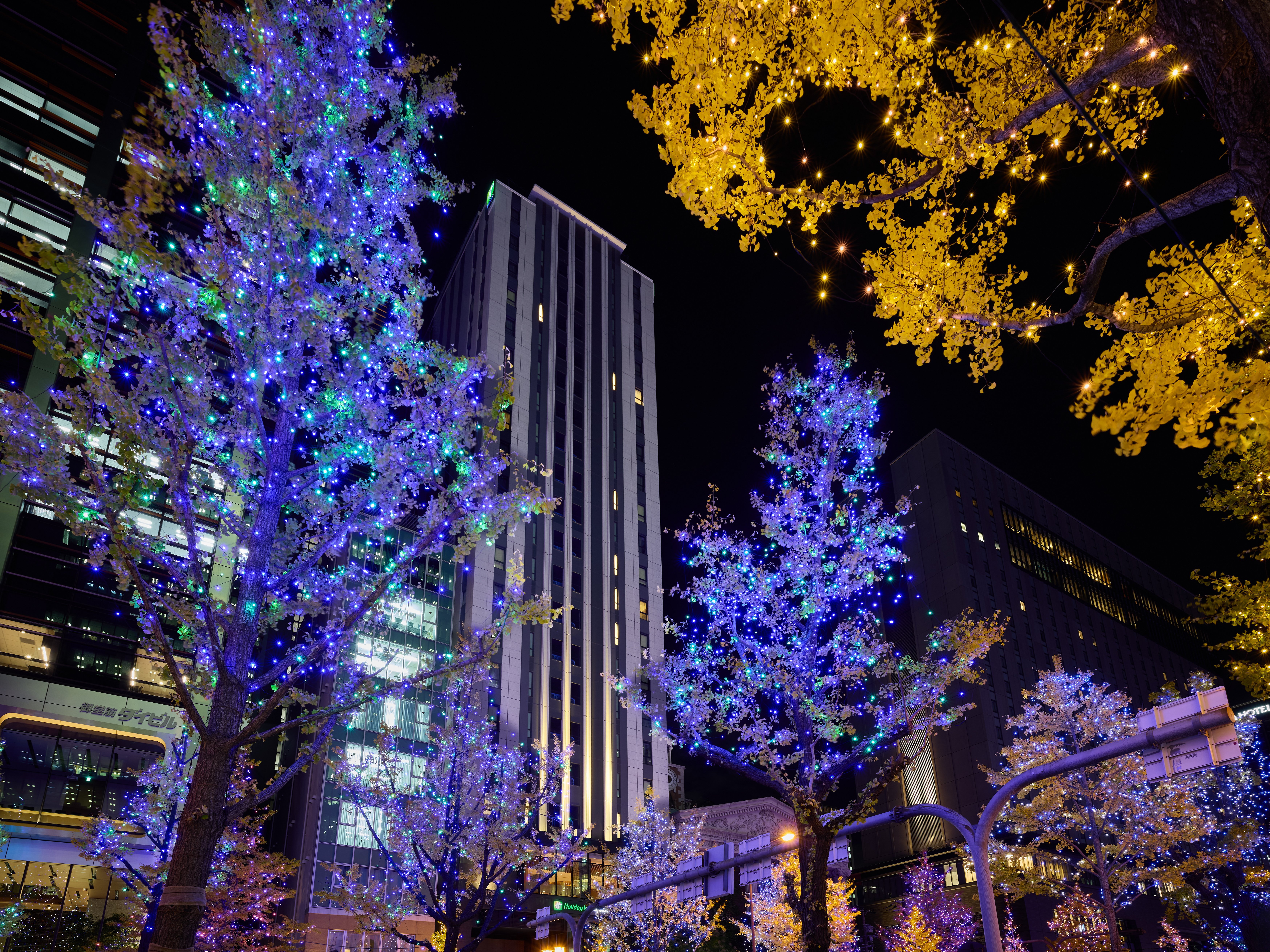 Holiday Inn Express Osaka City Centre Midosuji 81/86
