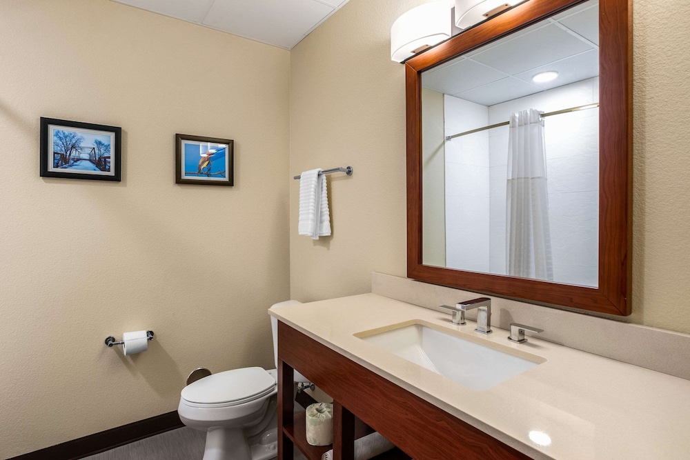 Comfort Inn and Suites Ames Near ISU Campus 11/41
