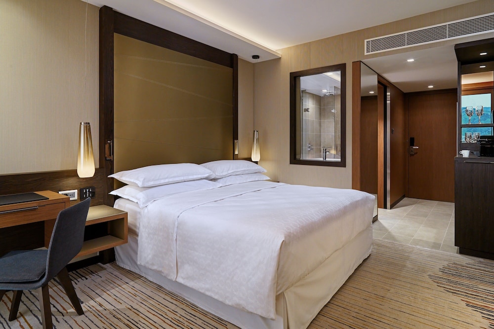 Sheraton Grand Tbilisi Metechi Palace 20/88