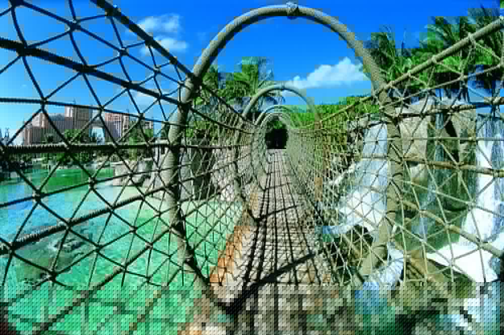 The Reef Atlantis, Autograph Collection 22/29