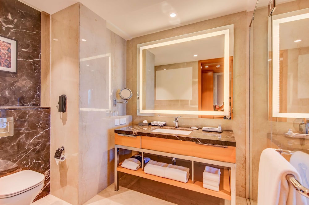 Radisson Blu Gorakhpur 50/50