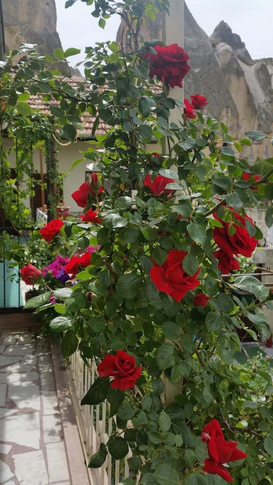 Anatolia Cave Hotel Pansion 45/50