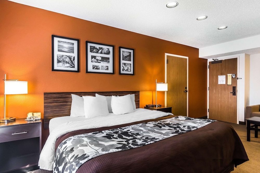 SUITE, KING BED