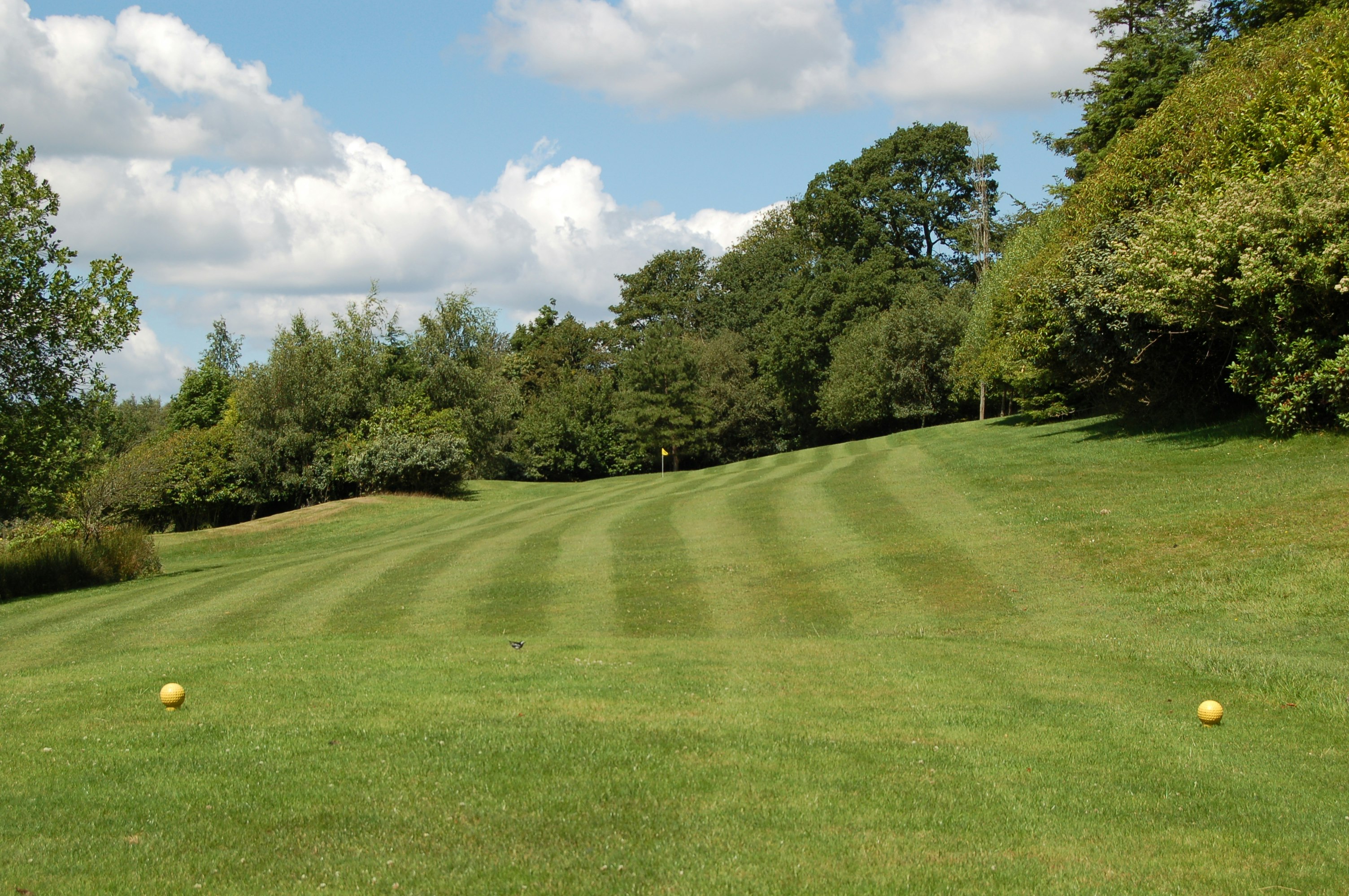 Ashdown Park Hotel And Country Club 83/84